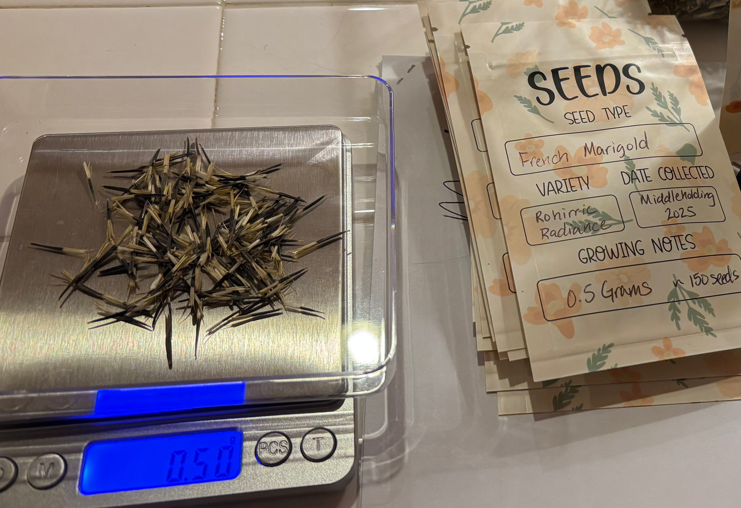2025 Rohirric Radiance French Marigold Seeds
